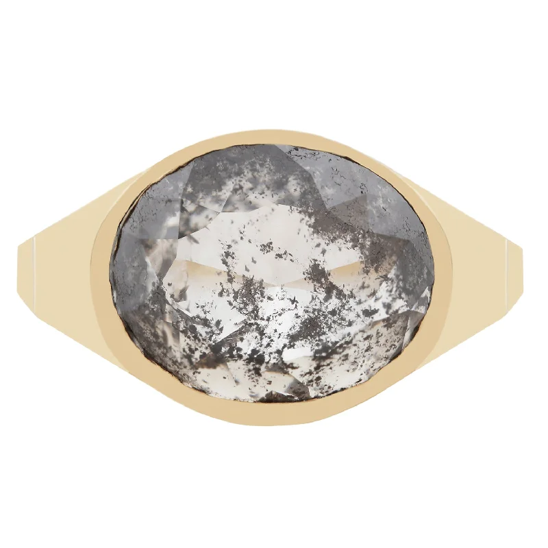 Flash Sale On Stunning Jewelry – Don't Miss Out Speckled Diamond Oval Signet Ring