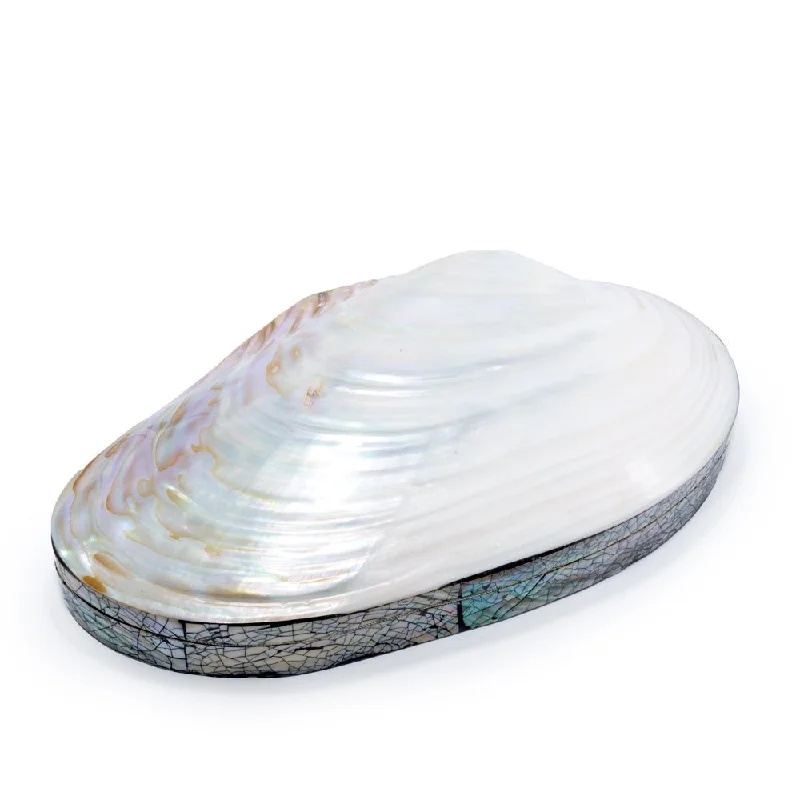 Affordable Luxury Jewelry For Every Occasion Seashell Trinket Box